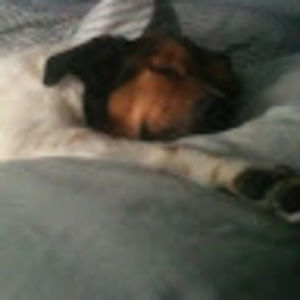 Meet your Posher, Josephine